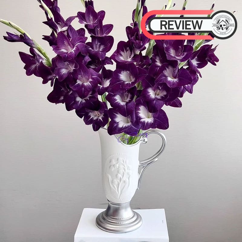 แจกันดอกไม้ตกแต่งบ้าน - European Designed Decor Vase