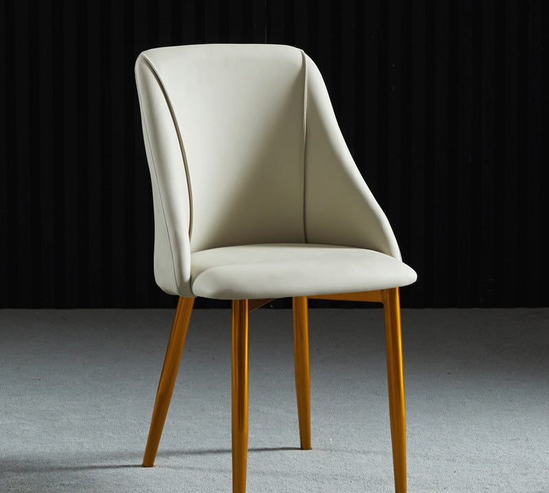เก้าอี้สำหรับตกแต่งบ้าน - Dining Chair XVI