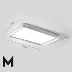 โคมไฟแต่งบ้านติดเพดาน - Livingroom Designed Decor Ceiling Lamp XXIV