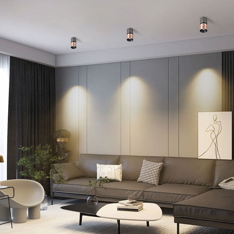โคมไฟดาวน์ไลท์ติดเพดาน - Luxury Designed Downlight